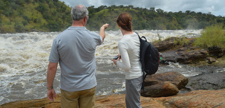 lion in Murchison falls National Park Short Trips