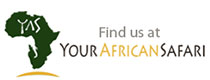 african tour operator