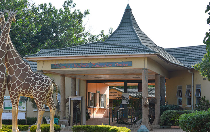 1 day Entebbe Zoo