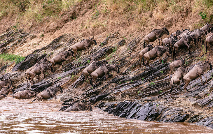 3 days masai mara