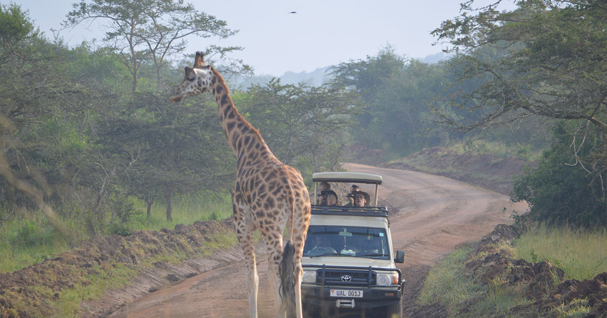 2 days Lake Mburo