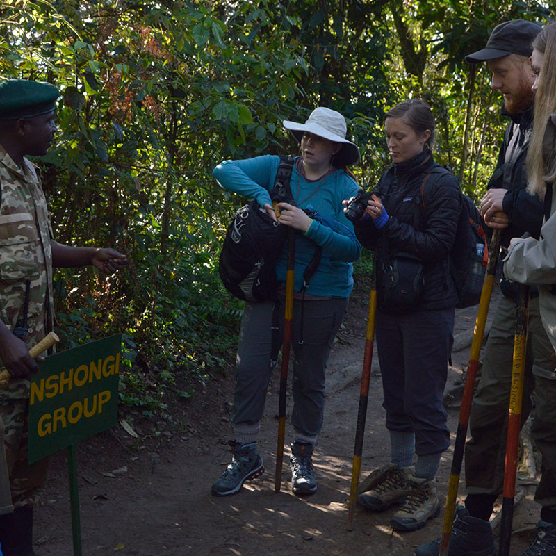 Uganda Safaris