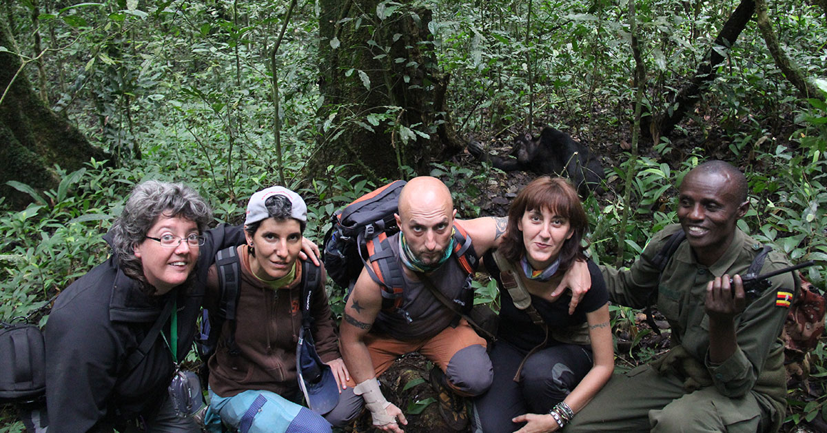 chimpanzee tracking Bugoma