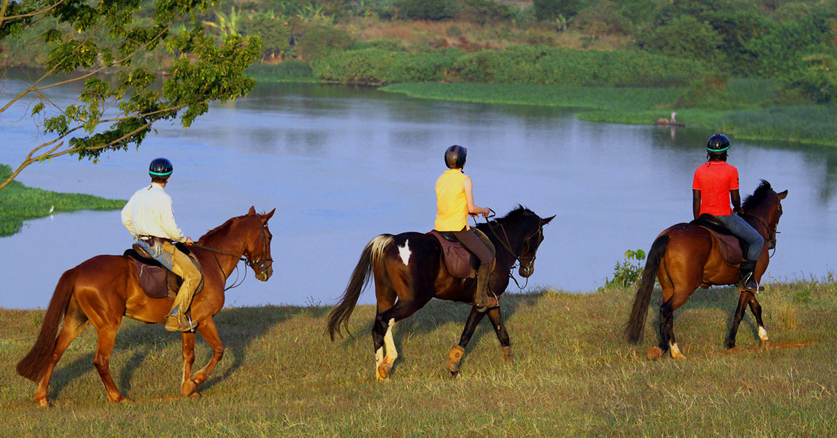 Horseback riding