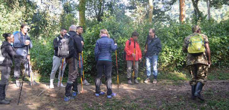 Gorilla trekking and tracking long safaris