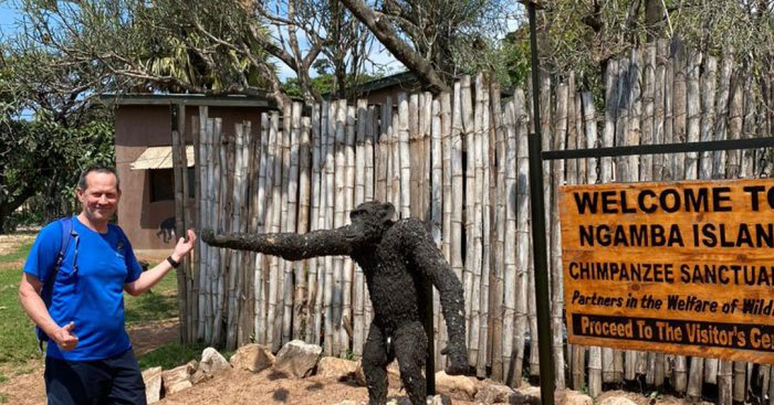 Ngamba-island-chimpanzee-sanctuary