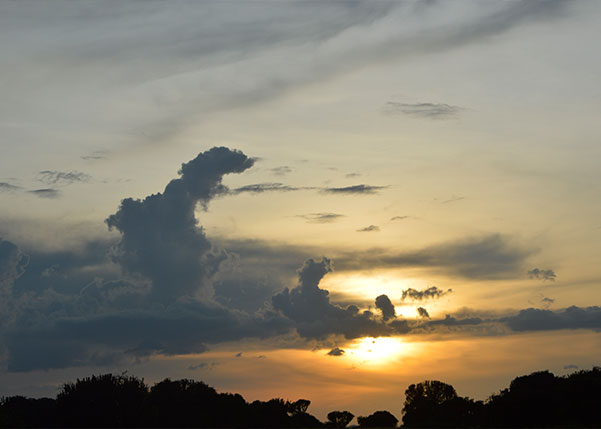 Morning sunrise in Murchison Falls